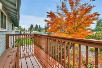 Deck overlooking the backyard