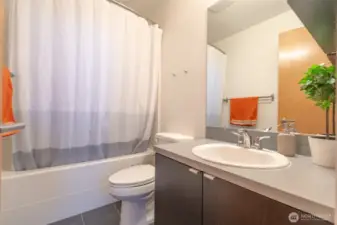 Guest bathroom
