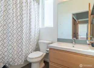Lower level 3/4 bathroom