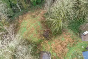 Great flat area surrounded by trees