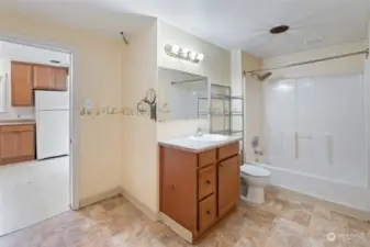 Large bathroom