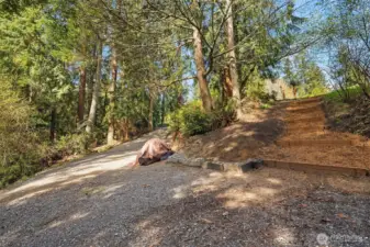 Driveway does not look this steep when you are standing on it.