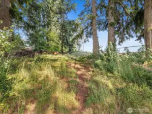 Just beyond the landscaped yard lies even more potential—clear a bit of the natural growth in the back, and you’ll uncover additional space to garden, play, or create your dream outdoor retreat.