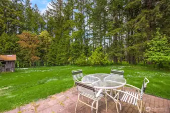 A view of the back yard.