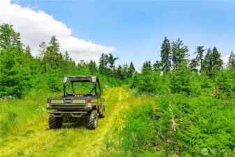 Gator not included with sale.