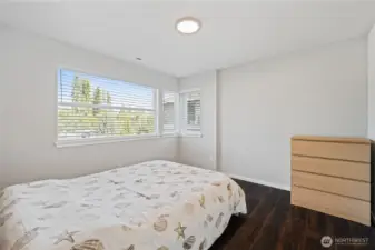 Additional second floor bedroom with walk-in closet