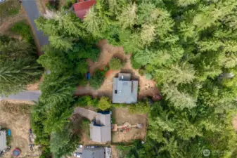 towering Douglas firs, producing apple and cherry trees