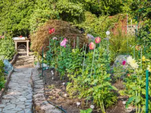 beautiful garden