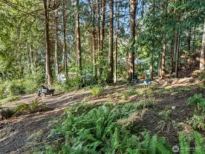 back yard trails