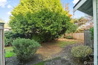 Clean and usable outdoor space with updated fencing and room for small pets or play.