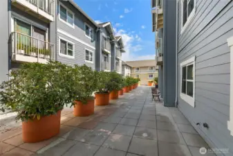 Sunny Center Courtyard at Island Crossings