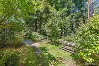 Trail system throughout the open space adjacent to the complex.