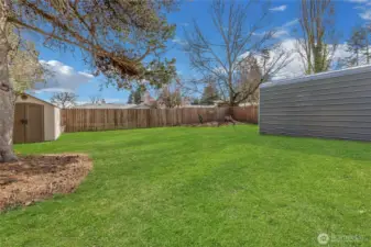 fully fenced backyard