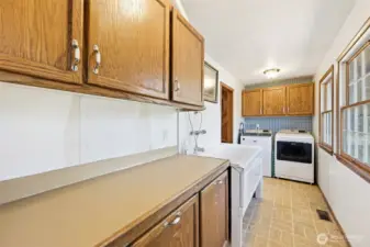 This laundry room has a dog washing station.