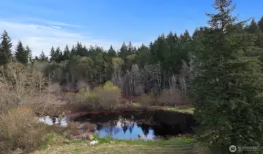 There is a duck pond on the southside of the property. How fun to utilize this as a water feature.