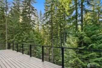 Front deck with stunning cable railing, great for entertaining and enjoying the outdoors. Here you are facing the mountain views.