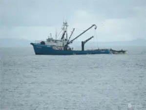 WATCH GILL NETTERS COME BACK INTO THE WESTPORT MARINA!