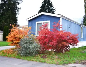 Enjoy beautiful fall colors at the front of this 1991 home, with tons of open space on either side for rare privacy.