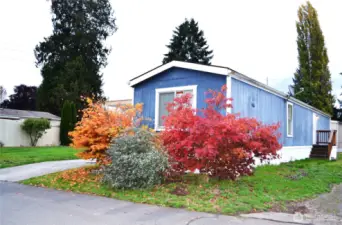 View showing the large lawn to the left of the home that is maintained by the park management. There is an equally large lawn on the right side for excellent privacy.