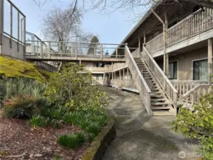 Court Yard