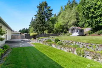 Large back yard with mature and lush landscaping