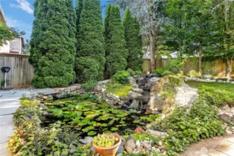 A closer view of the water feature. Its positioning in the yard maximizes both its enjoyment and efficient management of the back yard's overall space.