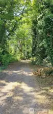 Stunning walks to beach in front of your home