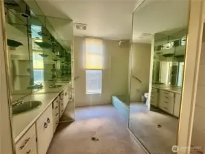 Primary bathroom