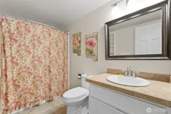Lower level full guest bath