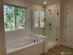 Primary tub and shower