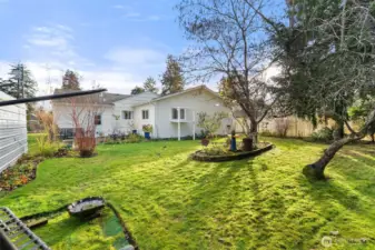 Beautiful December sun rays through the yard.