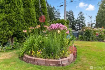 Blossoms from July this past year!