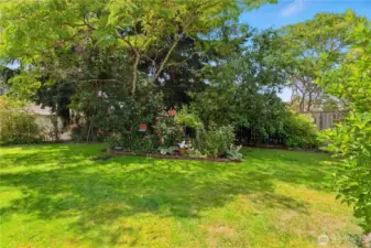 July 2025 pic showing how lush the yard becomes in the warmer months!