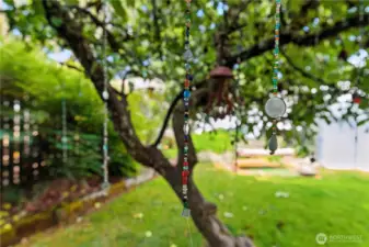 July 2025 pic showing how lush the yard becomes in the warmer months!