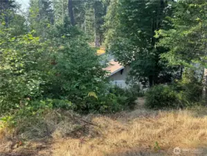 Top of lot looking at the west side of the property.