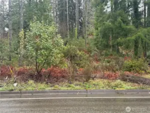 Buyer has choice of making an entrance off of Northcliff Dr, here.