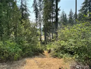 View looking from the top of the lot down to Northcliff Rd.