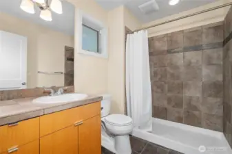 Lower level 3/4 bath