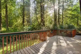 New large deck with screening for small animals, and stairs (to right) to dog run.