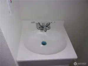 2nd Level sink in 3/4 bath.