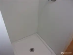 2nd Level shower in 3/4 bath.