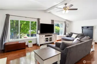 Nice large windows (vinyl double windows throughout the house)