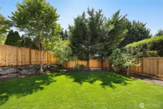 All the fencing is brand new, and completely encloses the back yard for pups or kiddos! Enjoy mature, fruit-bearing fig, apricot, & apple trees; grapevines; and blueberry bushes!