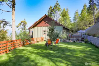 Beautiful green lawn, fully fenced backyard with fruit trees.