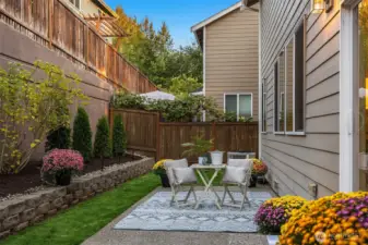 Large Backyard Patio