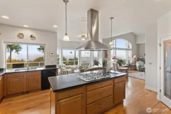 Propane stove--entertain your guest while you cook.