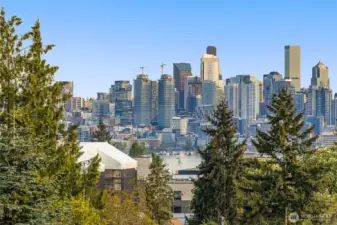 Cityscape framed by nature – Lush greenery and sparkling high-rises create an unforgettable visual contrast.