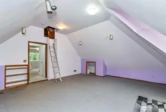 Opposite View of the Second Story Playroom~Built in Ladder to Access the "Top Secret" Rafter's can Easily be Stowed & Locked for Safety~