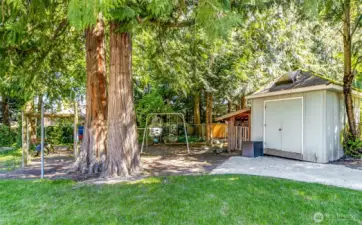 Storage Shed~Patio Furniture & Playthings~Gardening Tools & Lawn Equipment~Cord Wood~