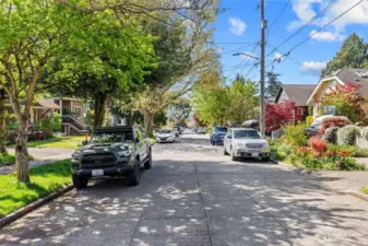 A perfect tree-lined street your chance to own and rent the other unit, totally rejuvenate to make it your forever home  or develope in this sought after neighborhood!